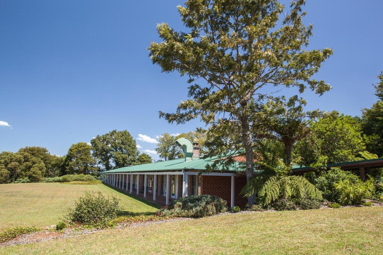 Lookout Mountain Retreat Motel Dorrigo Ngoại thất bức ảnh